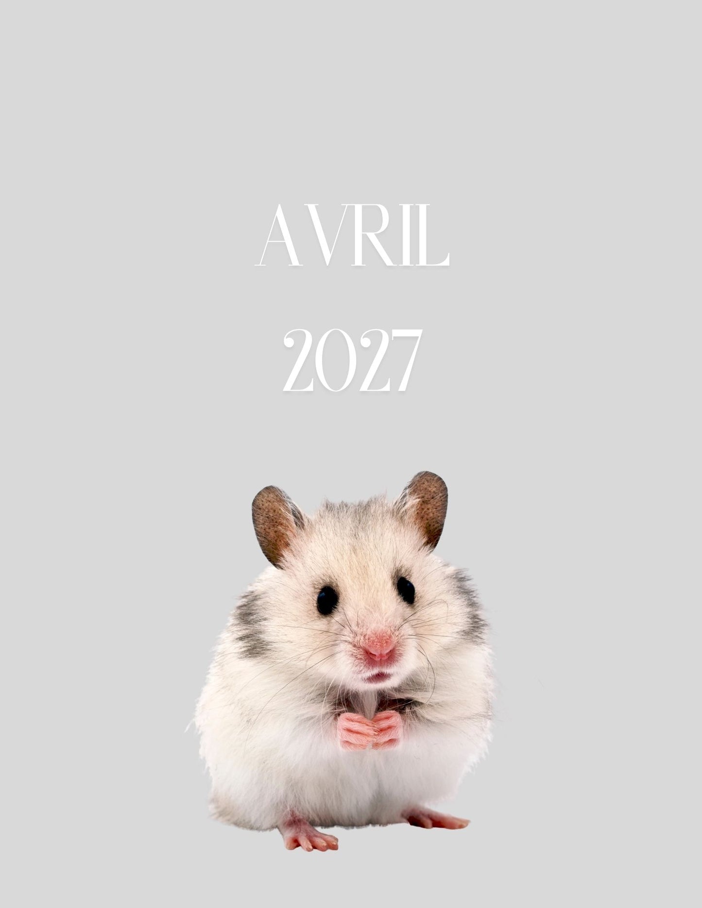 Mon Carnet de l'Année : planifier chaque journée 2026 - 2027 - Format A4 -