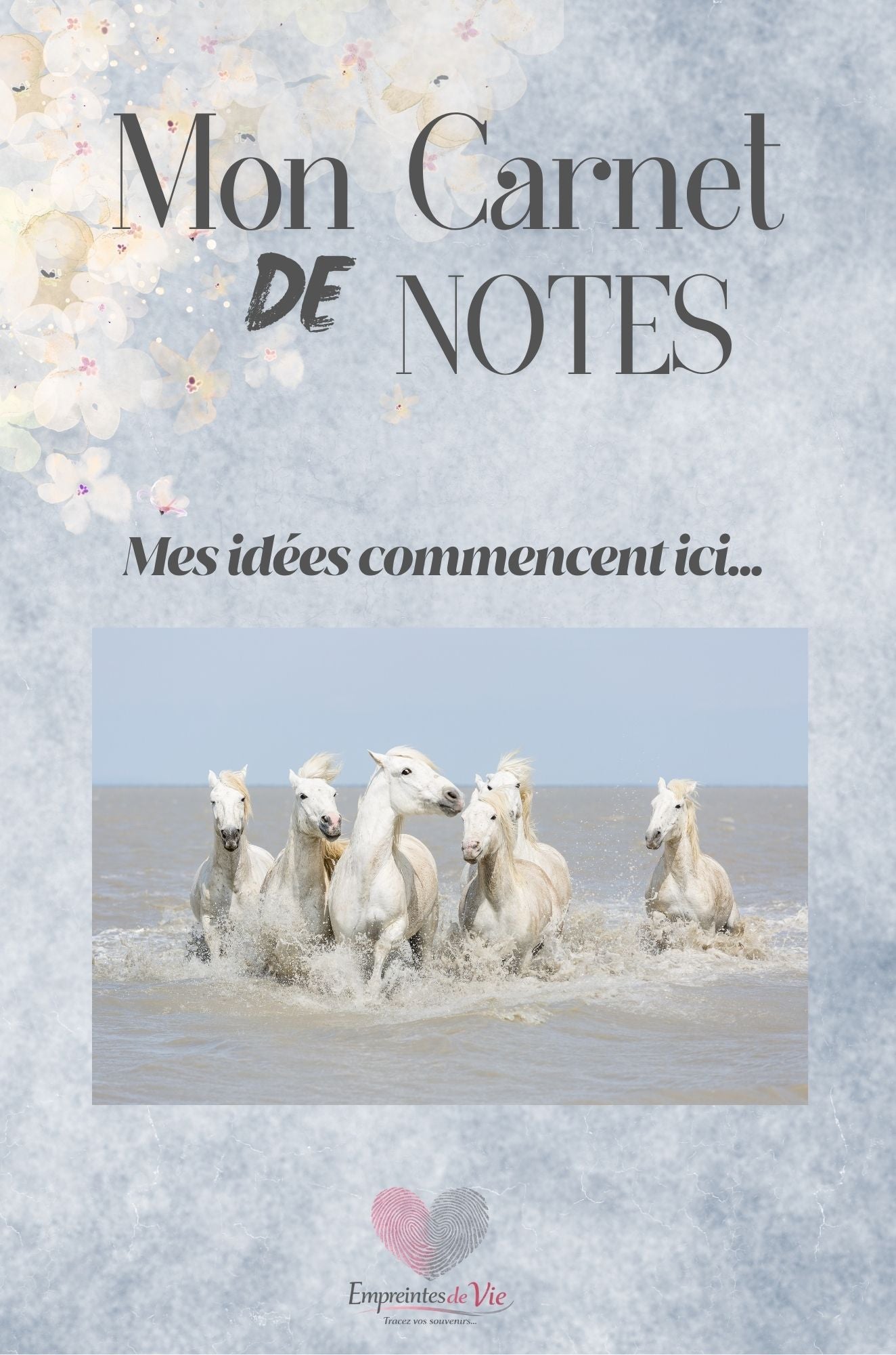 Mon Carnet de Notes : mes idées commencent ici...