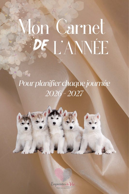 Mon Carnet de l'Année : planifier chaque journée 2026 - 2027 - Format A4 -