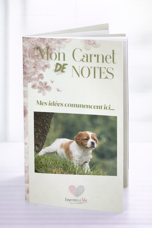Mon Carnet de Notes "ÉPAGNEUL BRETON"  : mes idées commencent ici...