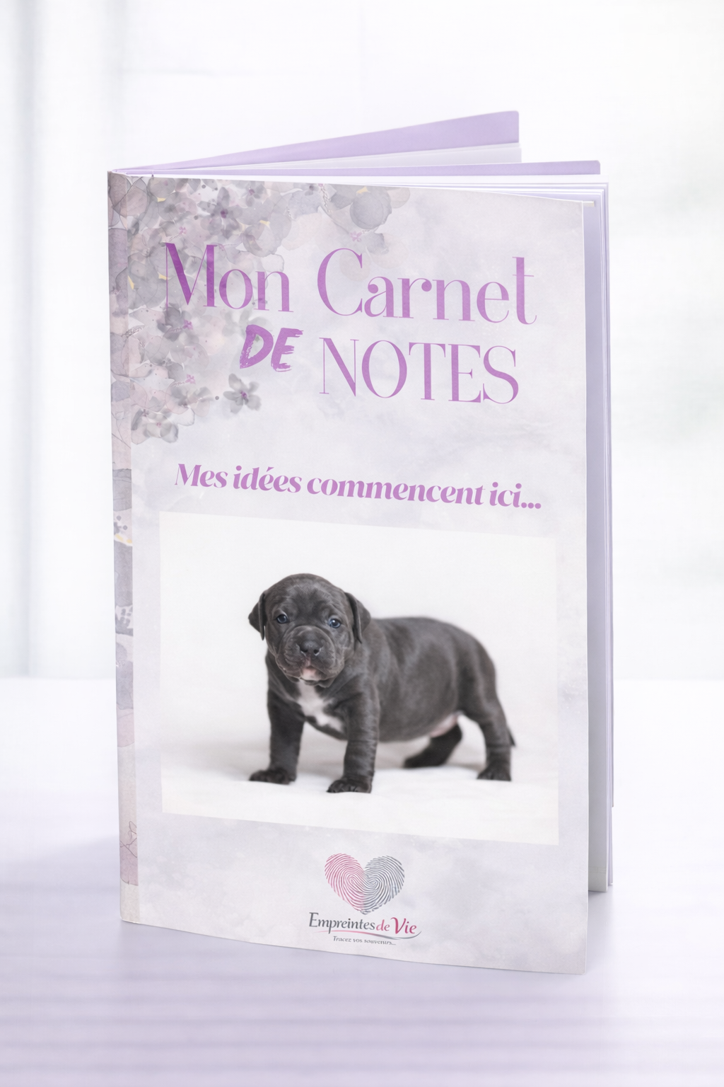 Mon Carnet de Notes "BULLY" : mes idées commencent ici...